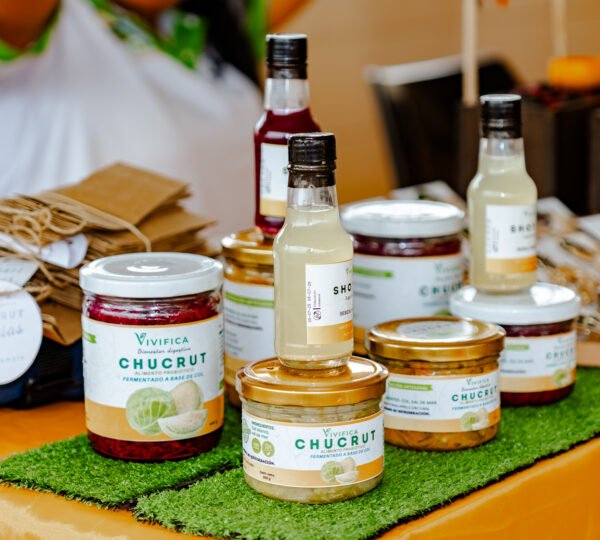 529694596_1070265538530048_494569098825774193_n